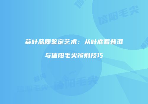 茶叶品质鉴定艺术：从叶底看普洱与信阳毛尖辨别技巧