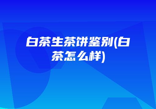 白茶生茶饼鉴别(白茶怎么样)