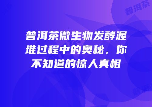 普洱茶微生物发酵渥堆过程中的奥秘，你不知道的惊人真相