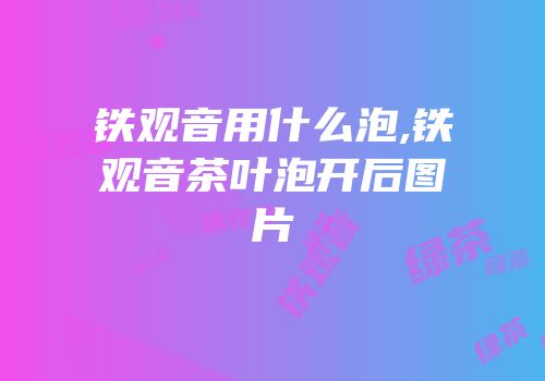 铁观音用什么泡,铁观音茶叶泡开后图片