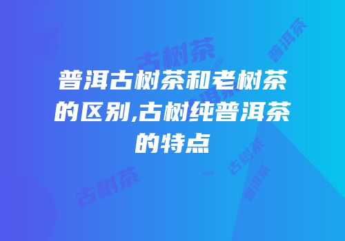 普洱古树茶和老树茶的区别,古树纯普洱茶的特点