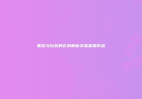 黑茶与白茶的区别解析及品鉴知识点