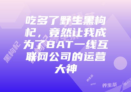 吃多了野生黑枸杞，竟然让我成为了BAT一线互联网公司的运营大神