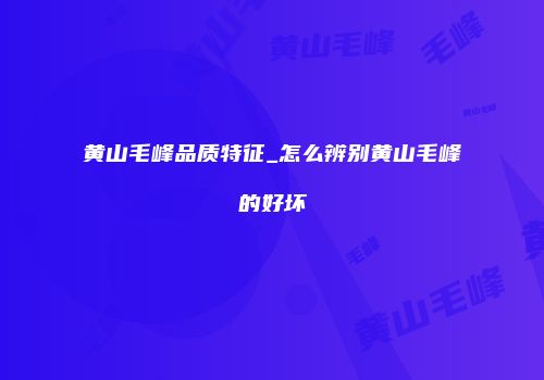 黄山毛峰品质特征_怎么辨别黄山毛峰的好坏