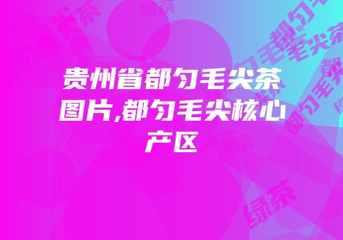 贵州省都匀毛尖茶图片,都匀毛尖核心产区