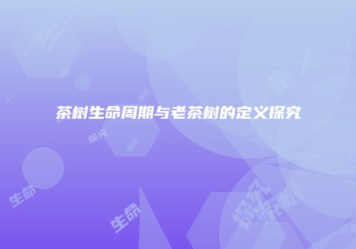 茶树生命周期与老茶树的定义探究