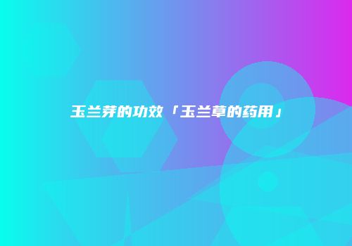 玉兰芽的功效「玉兰草的药用」