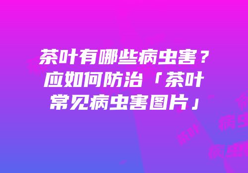 茶叶有哪些病虫害？应如何防治「茶叶常见病虫害图片」