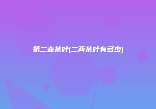 第二壶茶叶(二两茶叶有多少)