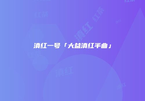 滇红一号「大益滇红半曲」