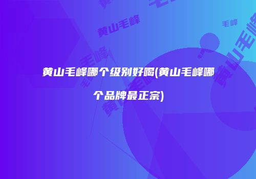 黄山毛峰哪个级别好喝(黄山毛峰哪个品牌最正宗)
