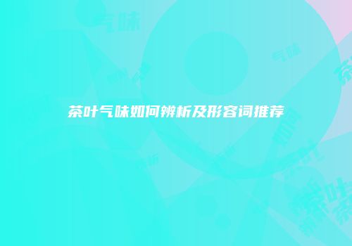 茶叶气味如何辨析及形容词推荐