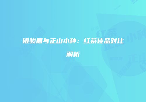 银骏眉与正山小种：红茶佳品对比解析