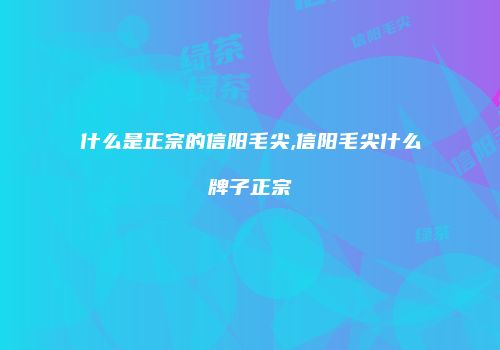 什么是正宗的信阳毛尖,信阳毛尖什么牌子正宗