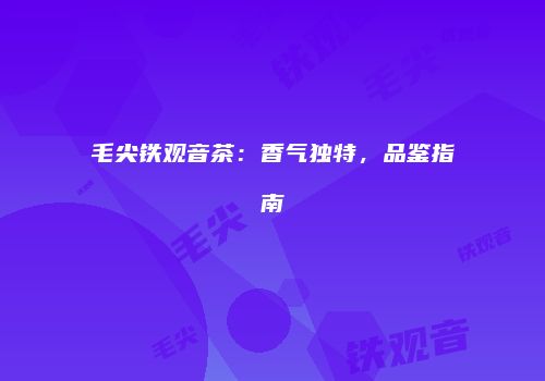 毛尖铁观音茶：香气独特，品鉴指南