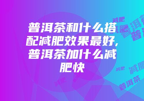 普洱茶和什么搭配减肥效果最好,普洱茶加什么减肥快