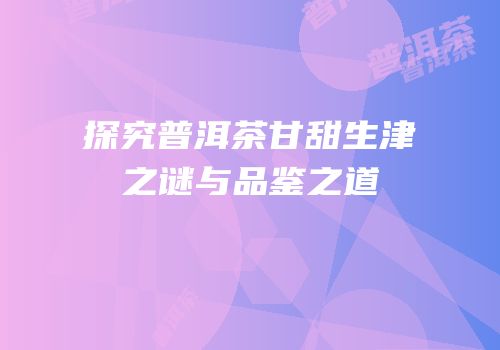 探究普洱茶甘甜生津之谜与品鉴之道