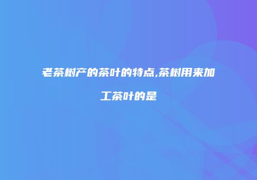 老茶树产的茶叶的特点,茶树用来加工茶叶的是