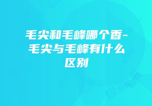 毛尖和毛峰哪个香-毛尖与毛峰有什么区别