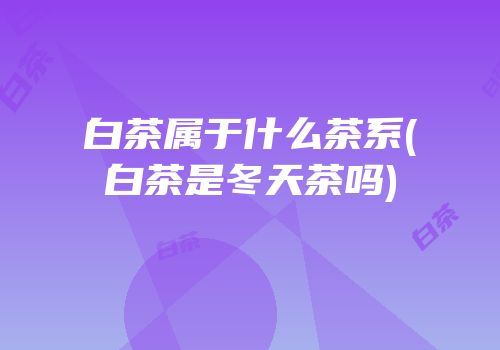 白茶属于什么茶系(白茶是冬天茶吗)