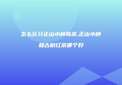 怎么区分正山小种陈茶,正山小种和古树红茶哪个好