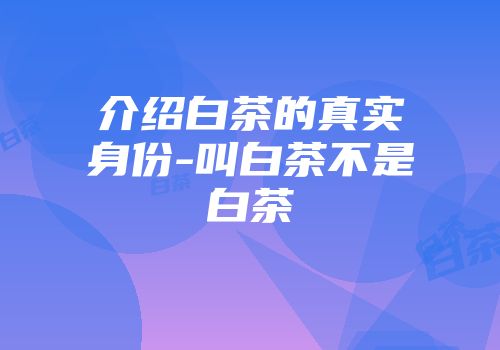 介绍白茶的真实身份-叫白茶不是白茶
