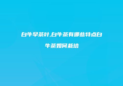 白牛早茶叶,白牛茶有哪些特点白牛茶如何栽培