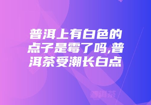 普洱上有白色的点子是霉了吗,普洱茶受潮长白点