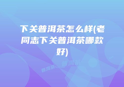 下关普洱茶怎么样(老同志下关普洱茶哪款好)