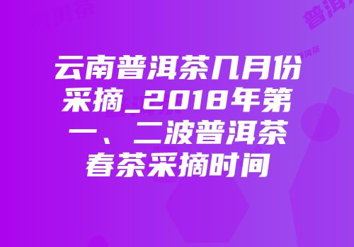 云南普洱茶几月份采摘_2018年第一、二波普洱茶春茶采摘时间