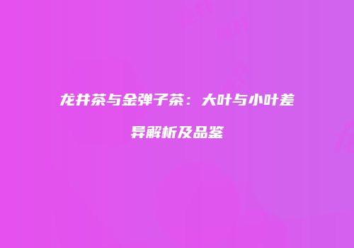 龙井茶与金弹子茶：大叶与小叶差异解析及品鉴