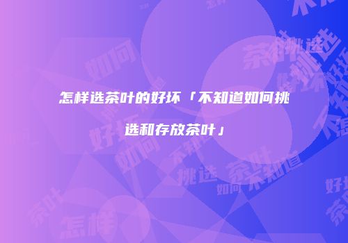 怎样选茶叶的好坏「不知道如何挑选和存放茶叶」