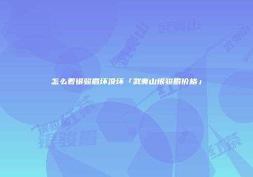 怎么看银骏眉坏没坏「武夷山银骏眉价格」
