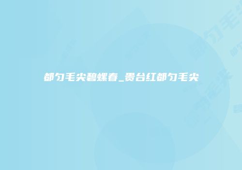 都匀毛尖碧螺春_贵台红都匀毛尖