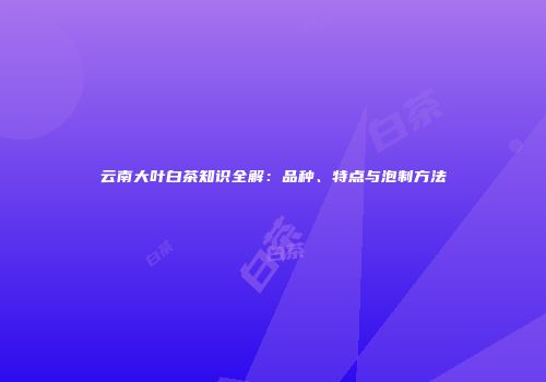 云南大叶白茶知识全解：品种、特点与泡制方法
