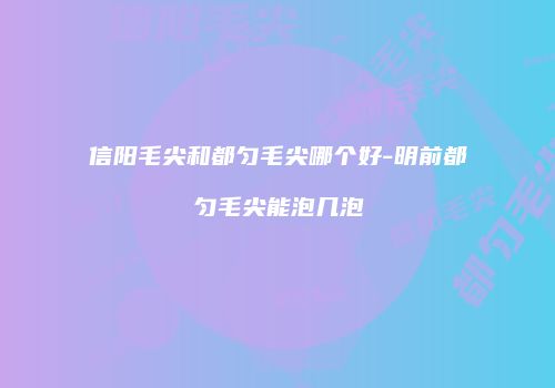 信阳毛尖和都匀毛尖哪个好-明前都匀毛尖能泡几泡