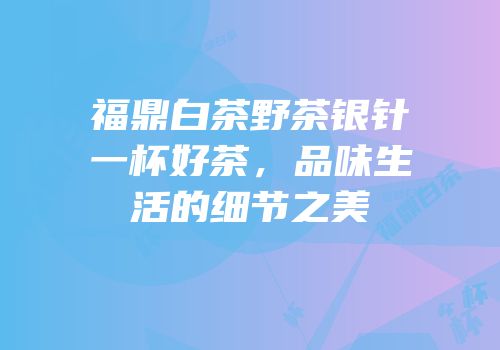 福鼎白茶野茶银针一杯好茶，品味生活的细节之美