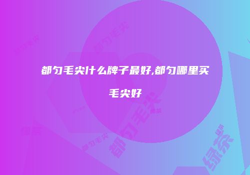 都匀毛尖什么牌子最好,都匀哪里买毛尖好