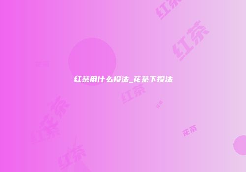 红茶用什么投法_花茶下投法