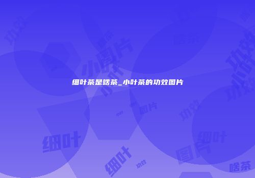细叶茶是啥茶_小叶茶的功效图片