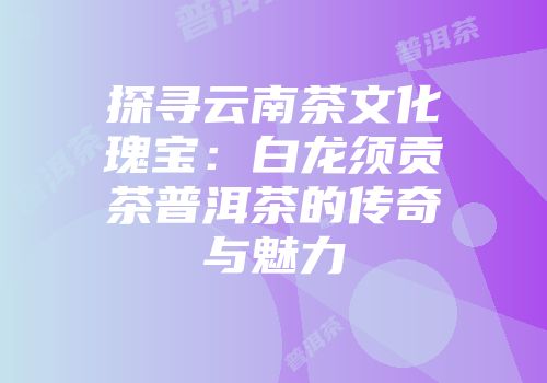 探寻云南茶文化瑰宝：白龙须贡茶普洱茶的传奇与魅力
