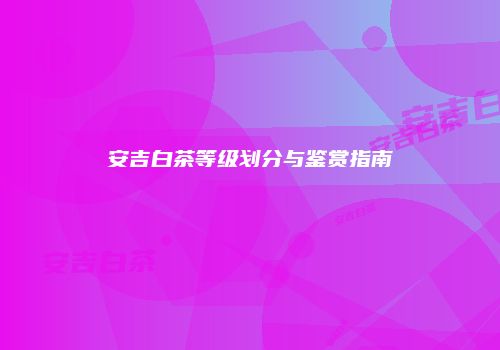 安吉白茶等级划分与鉴赏指南