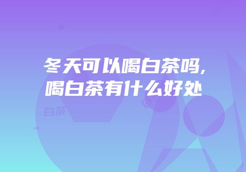 冬天可以喝白茶吗,喝白茶有什么好处