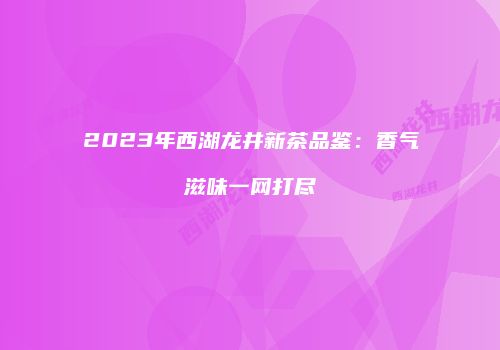 2023年西湖龙井新茶品鉴：香气滋味一网打尽