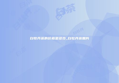 白牧丹茶的价格是多少_白牡丹茶照片