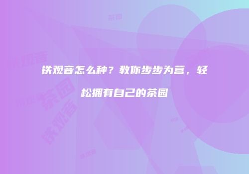 铁观音怎么种？教你步步为营，轻松拥有自己的茶园