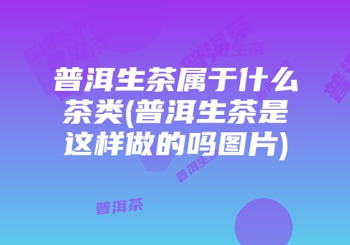普洱生茶属于什么茶类(普洱生茶是这样做的吗图片)