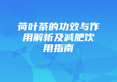 荷叶茶的功效与作用解析及减肥饮用指南