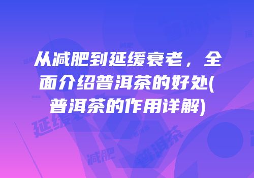 从减肥到延缓衰老，全面介绍普洱茶的好处(普洱茶的作用详解)