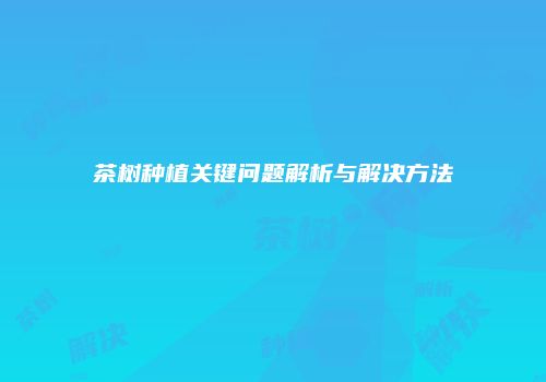 茶树种植关键问题解析与解决方法